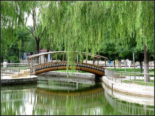 包头婚姻律师照片