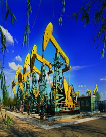 大庆婚姻律师照片