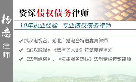 杨志,武汉债权债务律师